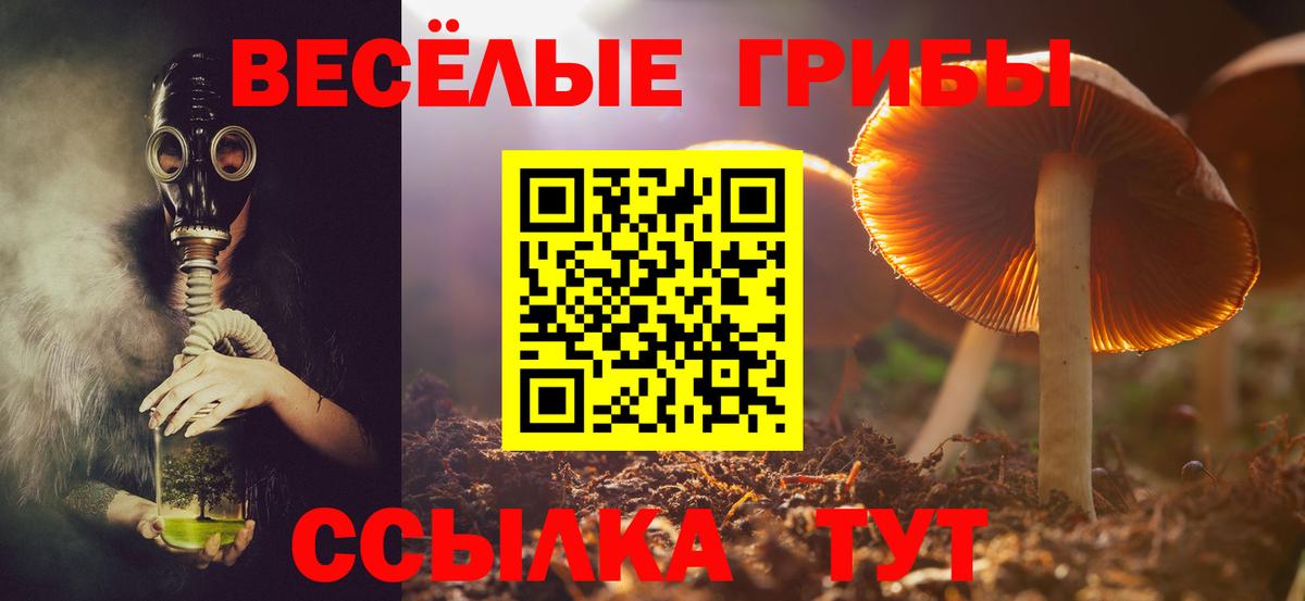 Псилоцибиновые грибы ЛСД  закладка  Миасс  Вход с VPN 